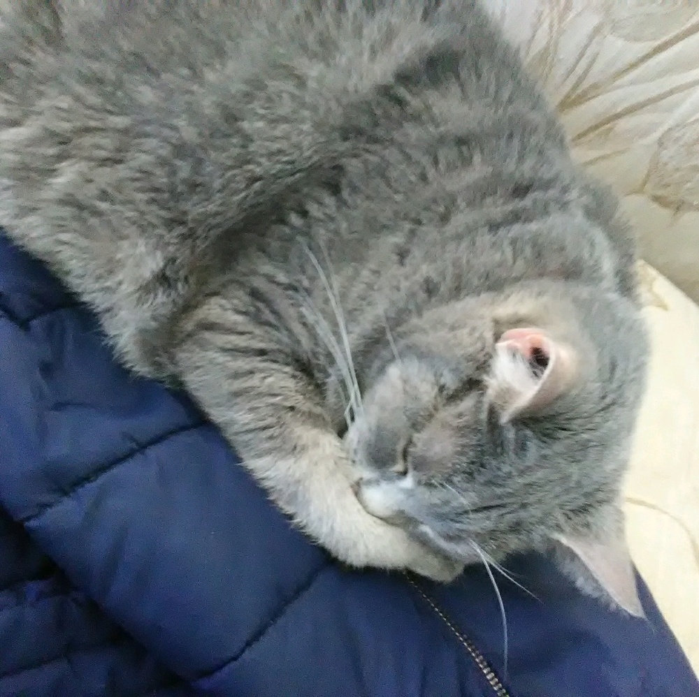 Meet your Posher, Mikayla